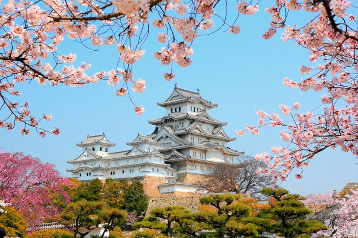 Самый большой замок Японии Химэдзи является национальным достоянием, он внесен в Список Всемирного наследия ЮНЕСКО. | Фото: traveltriangle.com.