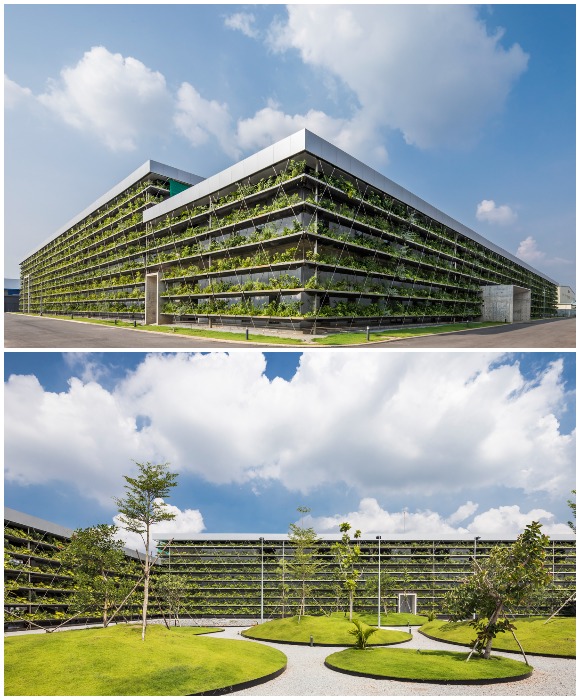 Вертикальный сад и внутренний дворик с небольшим парком и зелеными лужайками украшают завод по производству стальных канатов Jakob Rope Systems (Хошимин, Вьетнам).