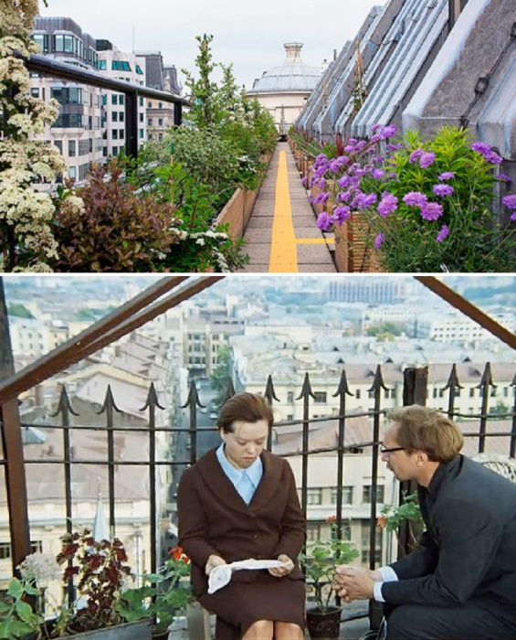 В России ограничивались скромными высадками и горшечными растениями, выставленными на крышах или террасах высотных домов.