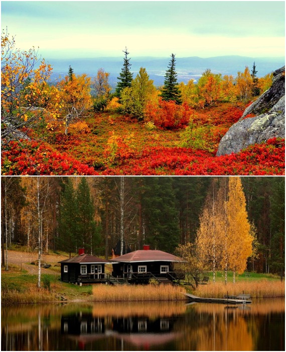 Любоваться переливчатыми осенними красками Лапландии можно как на одиноком острове, так и в небольших городках (Финляндия).