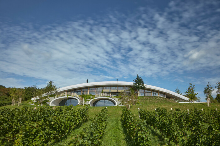Расположение на территории виноградника позволяет экономить на транспортировке сырья и людей (Gurdau Winery). | Фото: azuremagazine.com.