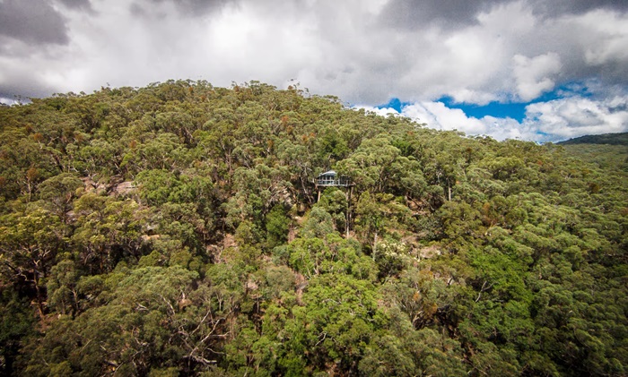 Blue Mountains Cabins расположен среди старейших тропических лесов на планете (Австралия). | Фото: travelagewest.com.