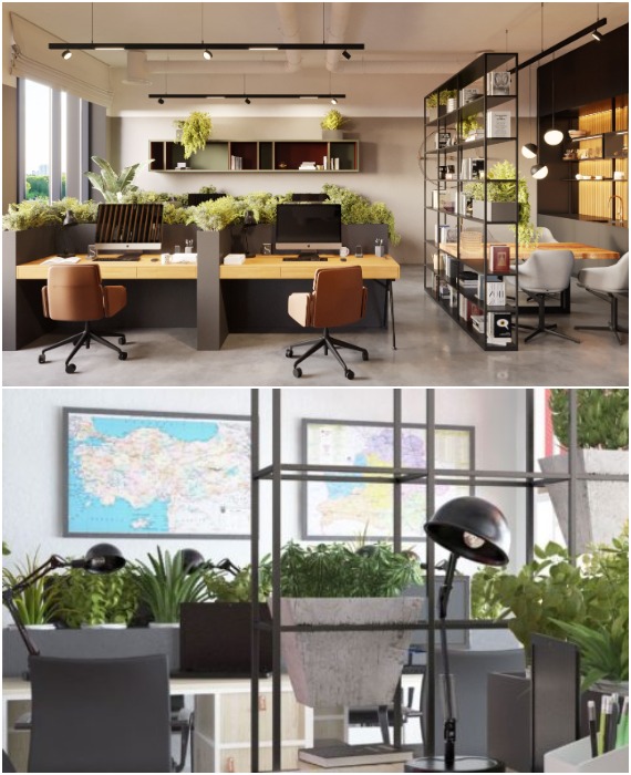 Озеленение офиса привнесет яркую эстетику и сделает благоприятным микроклимат.