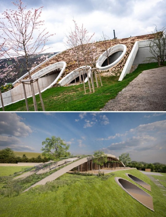 Крыша Винодельни Гурдау является и прогулочной зоной, и смотровой площадкой (Чехия).