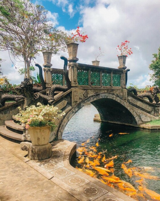 Пруды дворцово-паркового комплекса наполнены желтыми карпами и другими декоративными рыбками (Tirta Gangga Water Palace, Бали). | Фото: finnsbeachclub.com.