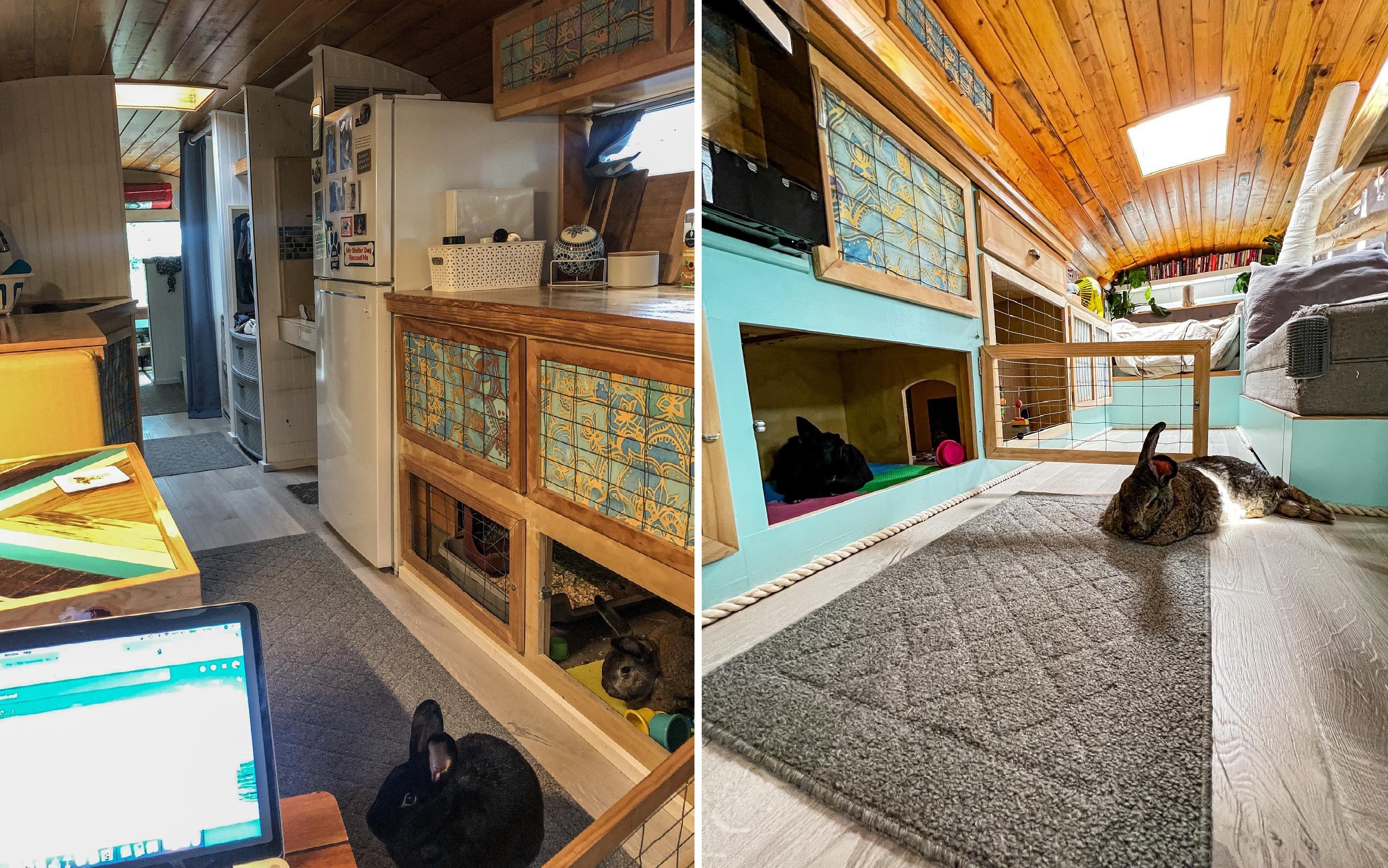 Кролики также путешествуют. Кролики также путешествуют.