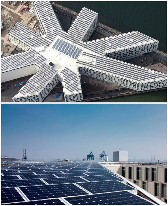 Масштабная крыша Кампуса 1 всплошную покрыта солнечными панелями, чтобы обеспечивать нужды здания в электроэнергии (UN City, Копенгаген).
