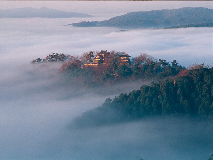 Замок Мацуяма – затерянная среди вершин и туманов неприступная цитадель (Япония). | Фото: movies.woxikon.co.nz.