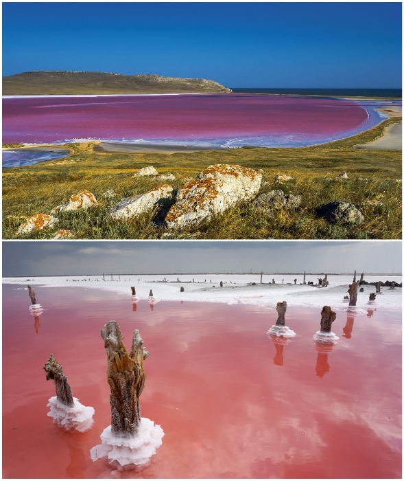 Кояшское озеро — розовая жемчужина Крымского полуострова.
