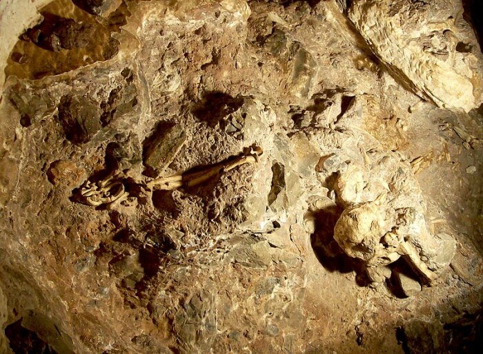 Комплекс из шести пещер, названных «Колыбелью человечества», хранит ценнейшие артефакты, связанные с этапами развития людей (Sterkfontein Cave, ЮАР). | Фото: ru.wikipedia.org.