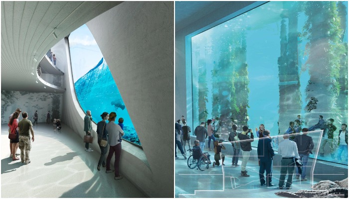 Новый туристический объект будет иметь 4 этажа со смотровыми залами, медиацентром и Морским музеем (концепт Australian Underwater Discovery Centre).
