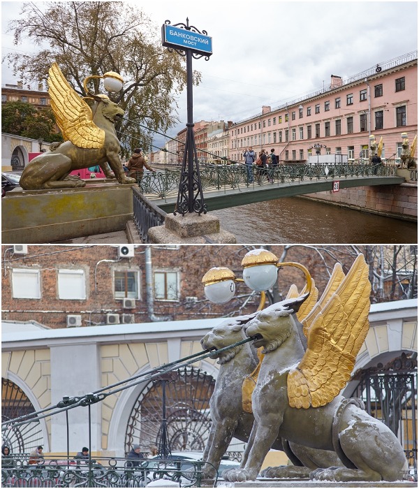Мифические крылатые львы стали ярким и самым эффектным украшением Банковского моста (Санкт-Петербург).