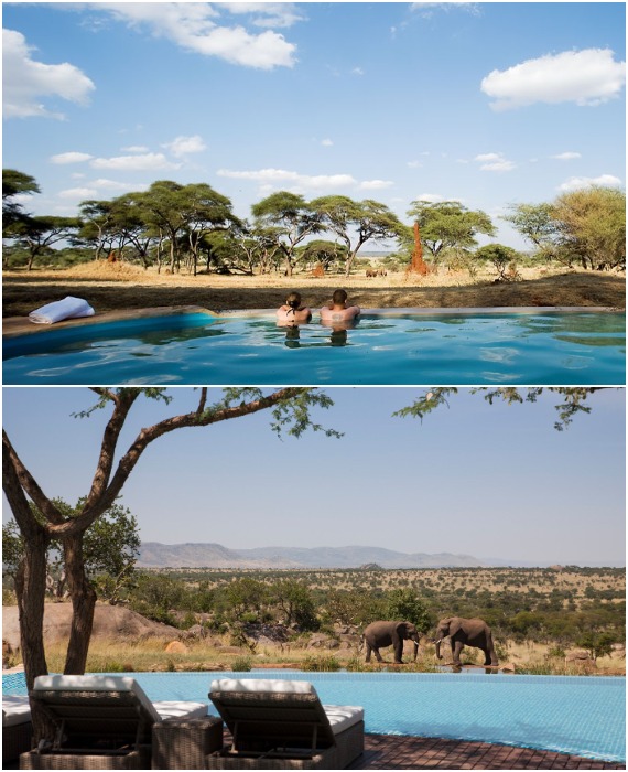 Сразу и не поймешь, кто за кем наблюдает (Swala Luxury Lodge, Танзания). 