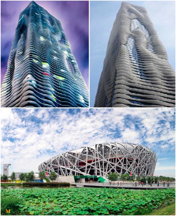 Бионические принципы проектирования основаны на стремлении упростить структуру задний без ущерба для прочности и комфорта человека (небоскреб Aqua в Чикаго и стадион Гнездо в Пекине). 