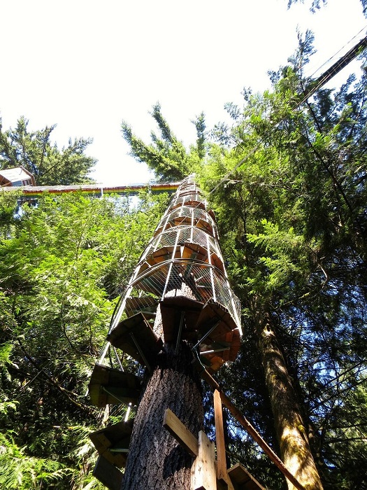 Смотроваяя площадка-обсерватория – захватывающий аттракцион (Cedar Creek). Смотроваяя площадка-обсерватория – захватывающий аттракцион (Cedar Creek).