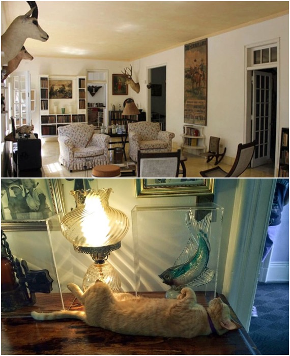 В доме, у которого есть особый смотритель, постарались сохранить оригинальную обстановку с той самой мебелью и личными вещами Эрнеста Хемингуэя (Ки-Уэст, Гавана).