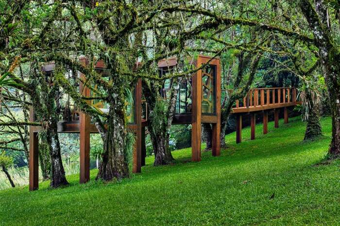 Домик на дереве расположили на склоне холма, чтобы максимально открыть панорамный обзор (TREE HOUSE, Бразилия). | Фото: designboom.com.