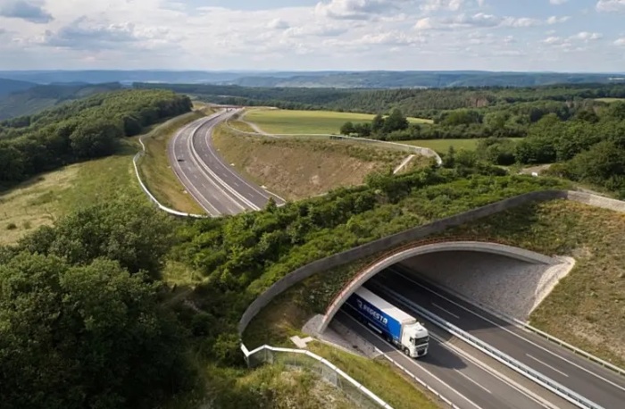 Экодук на шоссе Лонгкамп демонстрирует новый взгляд на скоростные трассы в природных зонах (Германия). | Фото: comedy.com.