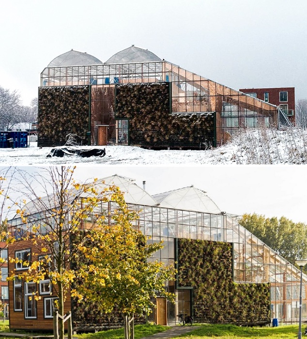 Эффектный дом будущего построен из стекла, стали и дерева (CHIBB, Нидерланды).