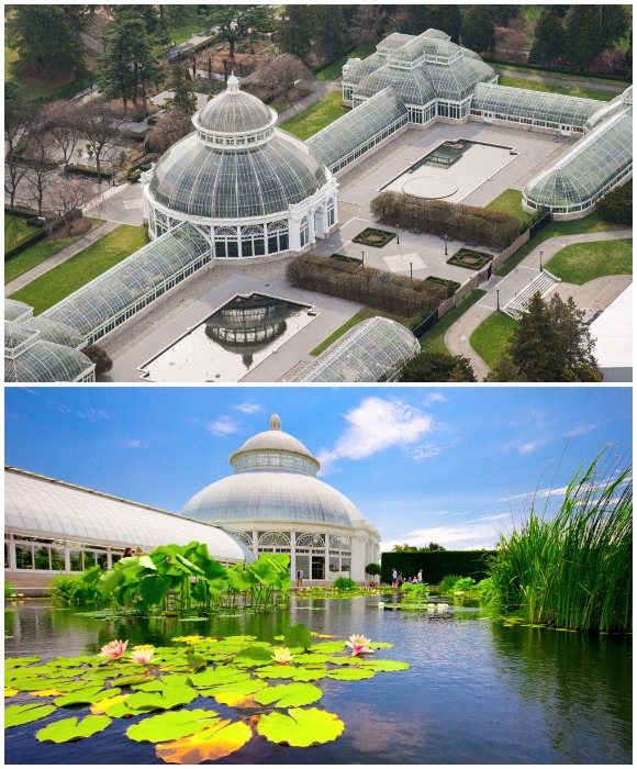 Enid A Haupt Conservatory – крупнейший оранжерейный комплекс в США и один из самых больших в мире (Нью-Йорк). 