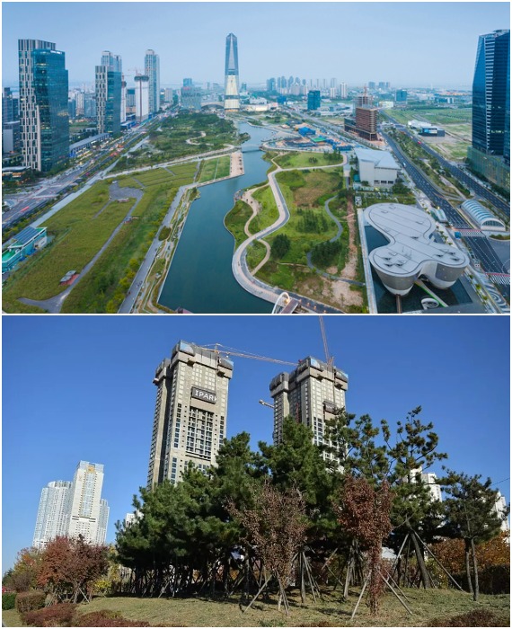 Мест под парковые зоны выделено предостаточно, только они больше напоминают дикие заросли (Songdo IBD, Южная Корея).
