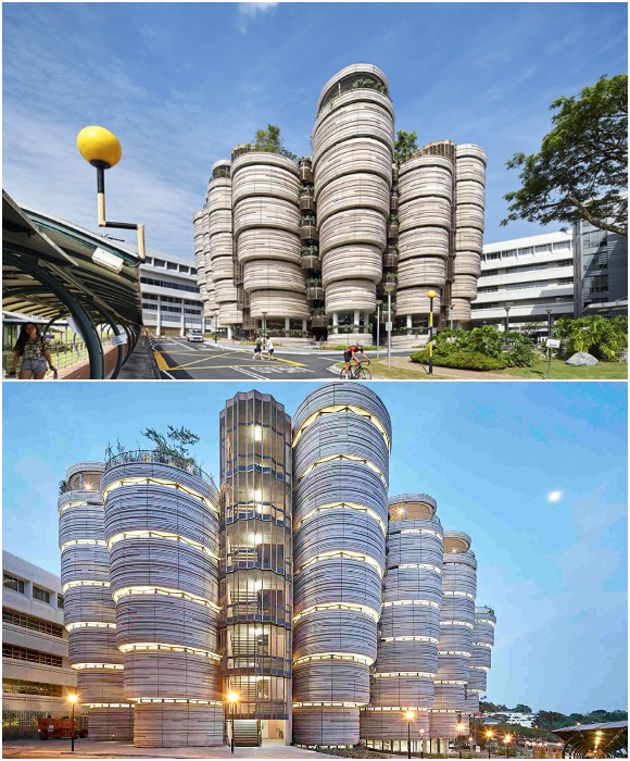 Кампус-сад в Наньянском технологическом университете напоминает ульи диких пчел (Сингапур).