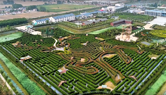 Площадь лабиринта из живой изгороди составляет 35 тыс. кв. м, а его протяженность – 9 км (Цзянсу, Китай).