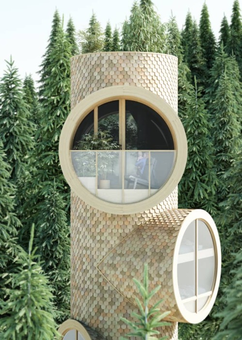 Инновационный модульный дом имитирует ствол дерева, от которого разрастаются ветки (концепт Bert Tree House). | Фото: apartmenttherapy.com.