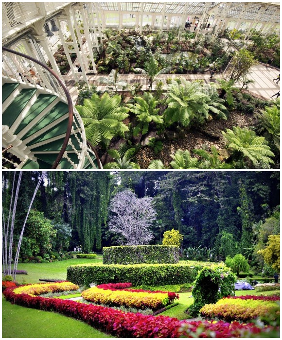  Royal Botanic Gardens занимают площадь около 130 га, на которых собрано более 30 тыс. видов растений со всего земного шара (Лондон, Великобритания).