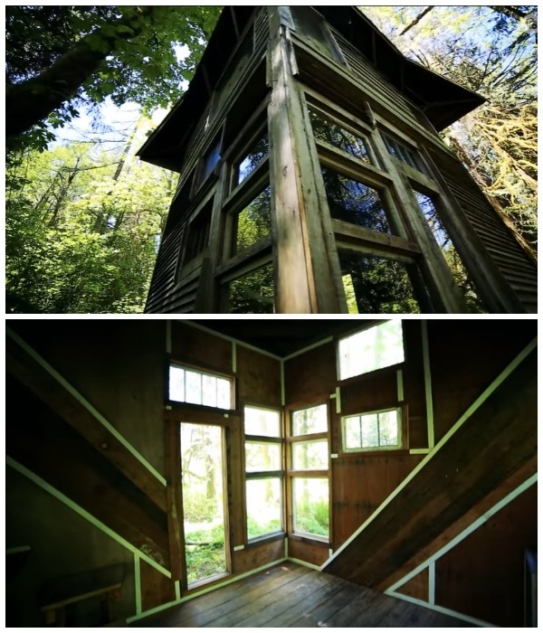 Лесной домик из старых досок и оконных рам студент построил самостоятельно и всего за 800 долларов (Олимпия, США).