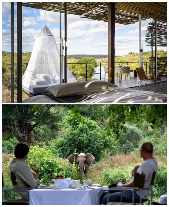 Гости Singita Lebombo Lodge обеспечены ультрасовременным комфортом и незабываемыми впечатлениями (Kruger National Park, ЮАР).