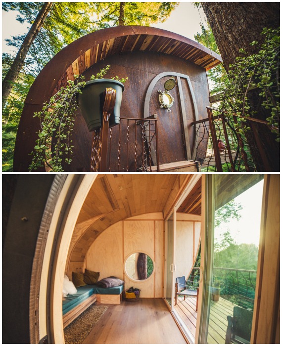Из домика на дереве открывается впечатляющий вид на лесной массив (O2 Treehouse, эко-отель The Glazed Perch).