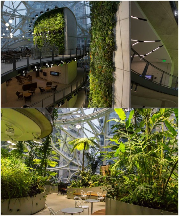 Рабочее пространство и зона отдыха находятся среди тропического сада (Офис компании Amazon, Сиэтл).
