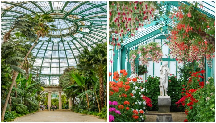 В оранжереях можно увидеть самые невероятные коллекции растений из Европы, Америки, Азии и Африки (Royal Greenhouses at Laeken, Брюссель).