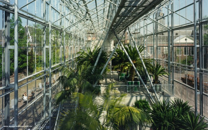 Оранжерея с тропическими и субтропическими растениями при Лейденском университете (Нидерланды). | Фото: conjure.livejournal.com.