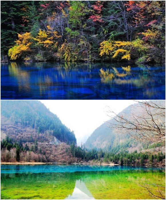Природный водоем, за способность менять цвет воды, в народе еще называют Павлин-озеро (Цзючжайгоу, Китай).