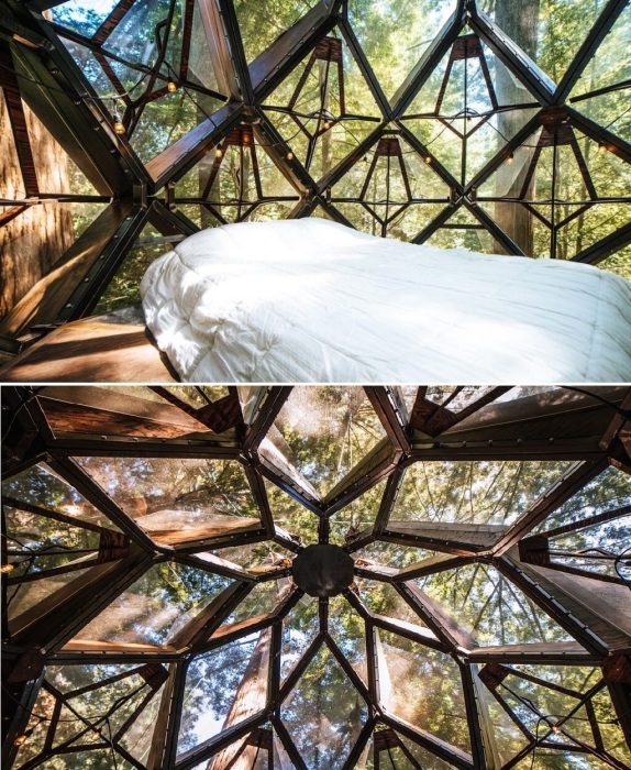  В таком номере точно получится восстановить связь с природой и самим собой (Pinecone Treehouse, Сан-Франциско).