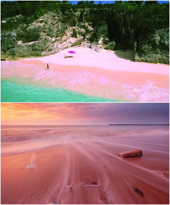 Pink Sands Beach привлекает голубыми лагунами и бледно-розовым песком (Багамские острова). 
