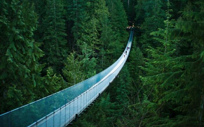 Подвесной мост Капилано, находясь рядом с Ванкувером, стал одной из самых значимых достопримечательностей Канады. | Фото: tourister.ru.