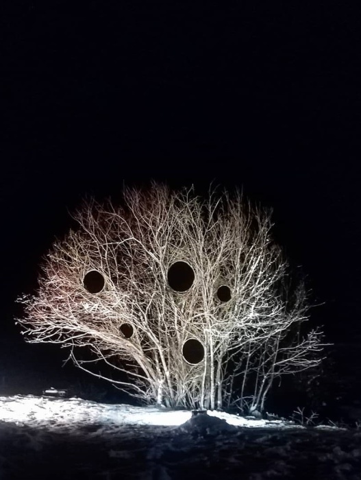Так захватывающе художественная инсталляция выглядит в зимнюю пору (работа Антти Лайтинена). | Фото: afoundations.blogspot.com.