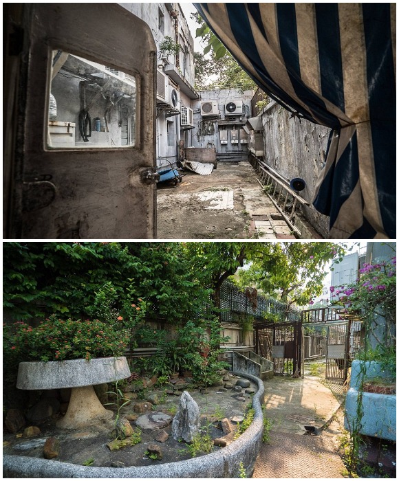 Вместо музея легендарного актера Брюса Ли и Центра боевых искусств можно увидеть заросли, запустение и разруху (дом Брюса Ли, Гонконг).
