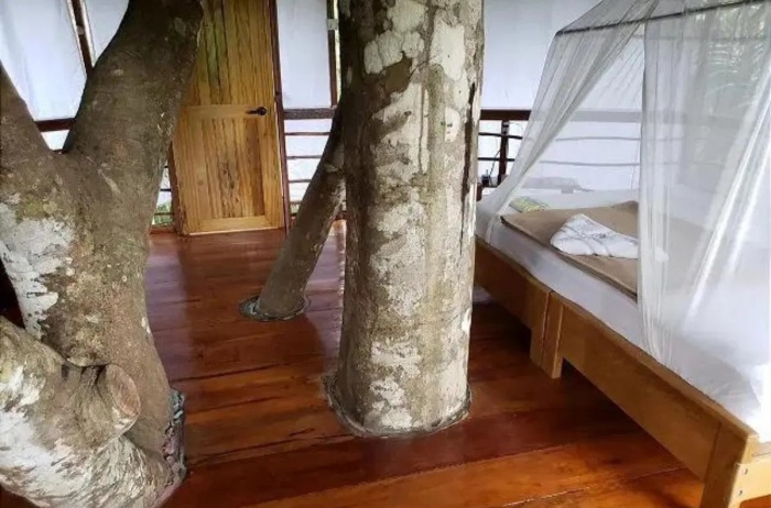 В номерах обеспечено максимальное близкое общение с природой и предусмотрено сафари, не требующего подъема с кровати (Treehouse Lodge в Перу).