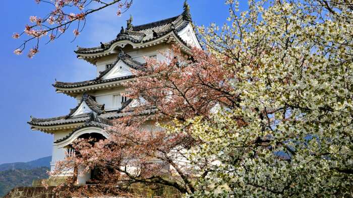 Замок Увадзима построен в виде небольшого пятиугольника, где имеется секретная сторона для безопасной эвакуации его обитателей (Япония). | Фото: samurai-world.com.