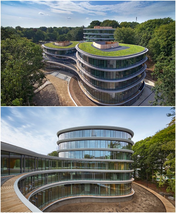 Крыша архитектурного объекта превращена в зеленую прогулочную зону (Банк Triodos, Нидерланды). 
