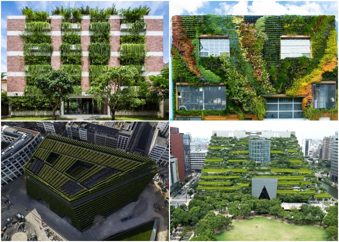 Ставя во главу угла принципы и стандарты «зеленой» архитектуры, можно улучшить экологическое состояние городской среды и качество жизни.