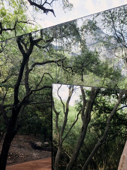 Mirrored Home стал частью живописной композиции лесного пейзажа (Монтеррео, Мексика). | Фото: theculturetrip.com.