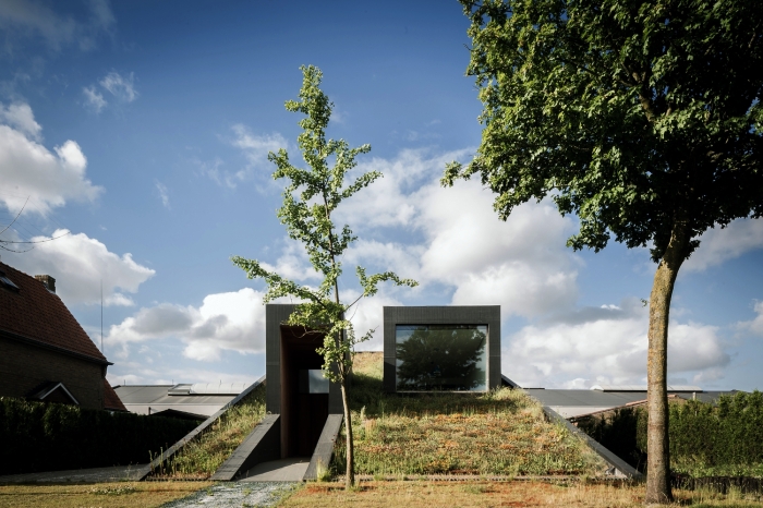 Дом стал естественным продолжением участка, образуя одну непрерывную приподнимающуюся «зеленую» крышу (PIBO, Бельгия). | Фото: plainmagazine.com.