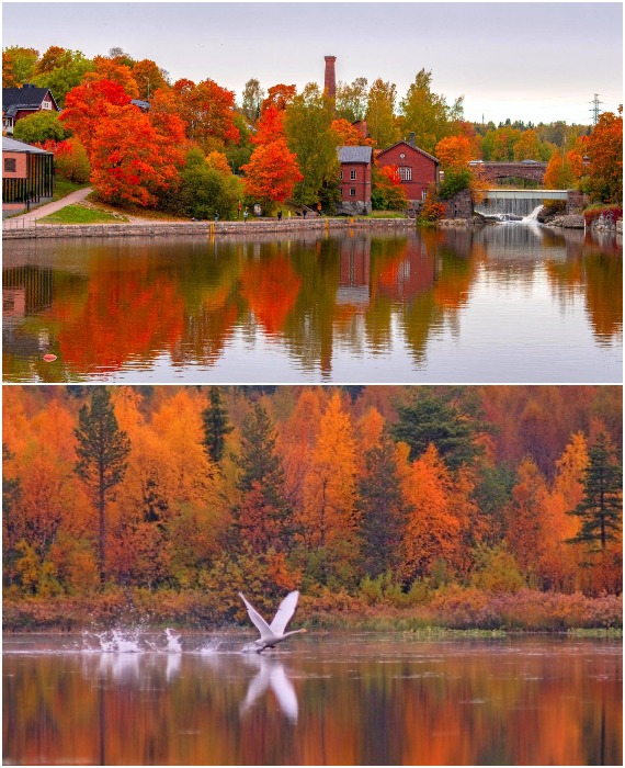 Путешествие осенью в Лапландию – один из приятнейших способов релаксации (Финляндия).