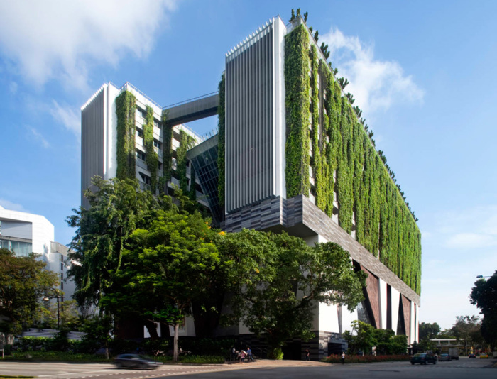 Фасады и крыша комплекса Школы искусств WOHA покрыты буйной зеленью (Сингапур). | Фото: weekend.rambler.ru.