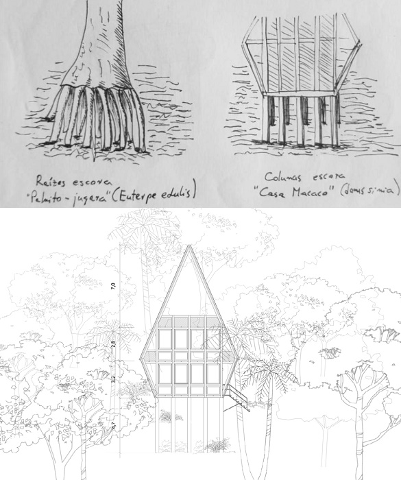Эскиз загородной резиденцией Monkey House, разработанной Марко Брайовичем. 